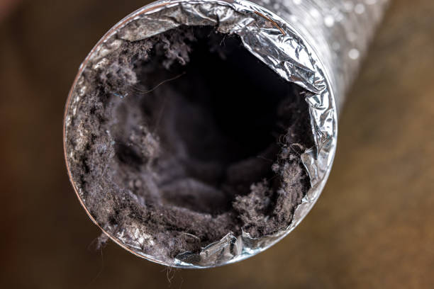 Best Air Duct Cleaning Near Me  in Ammon, ID